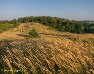 /Files/images/Городище 6.jpg