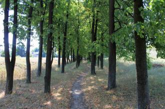 /Files/images/286855_original.jpg